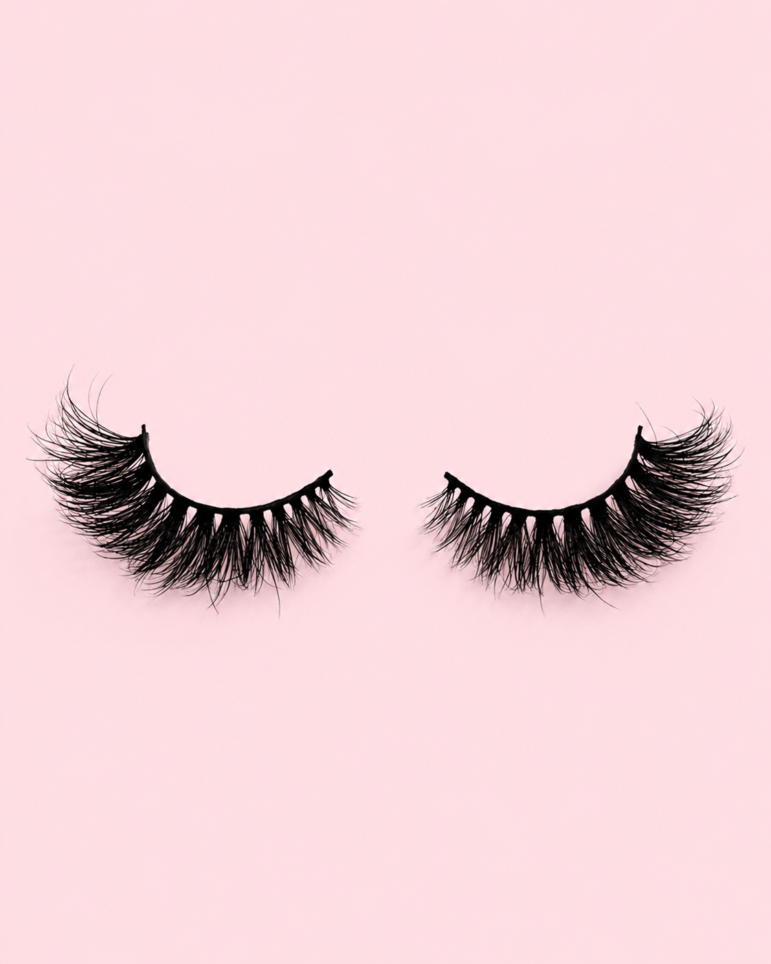 Wing Lady