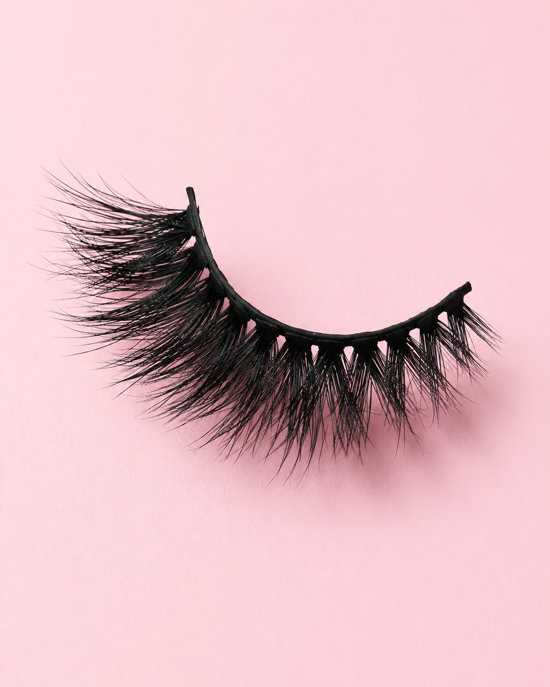 Black Beauty